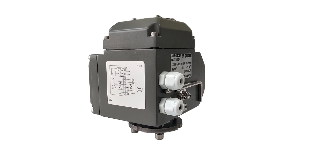 АМБ-003 - 3-P.png